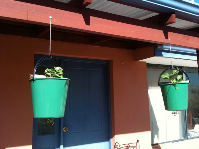 1st Two of Four Hanging Buckets