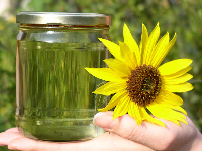 Biodiesel on Biodiesel Can Be Produced From Any Fat Or Oil Such As Sunflower Oil