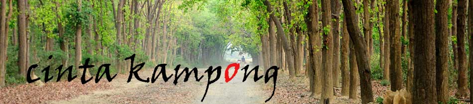 Cinta Kampong