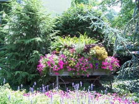 Blossoms by the cart load