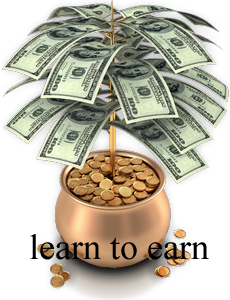 Learn to earn big money from blogs and websites and e-commerce and e-marketing and auction