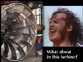 [Picture+1.png]