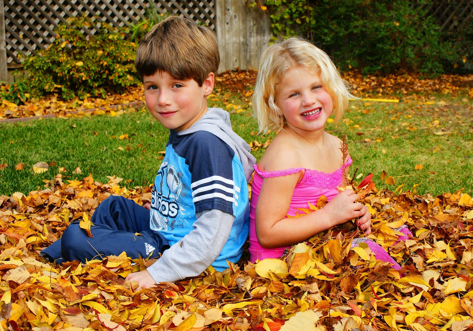 Fall Leaves Falling