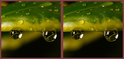 [Stereogram+5.jpg]