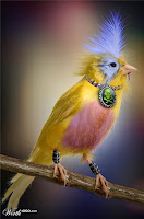 http://unik4u.blogspot.com/