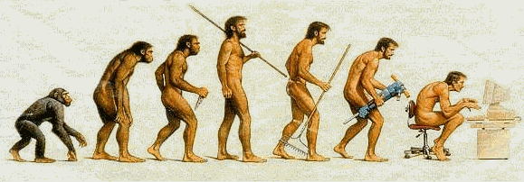 [evolucao.gif]