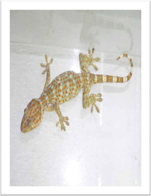 [slide0002_image003.png]