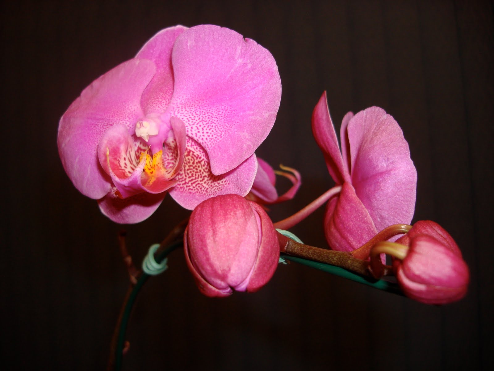 [DSC01929.JPG]