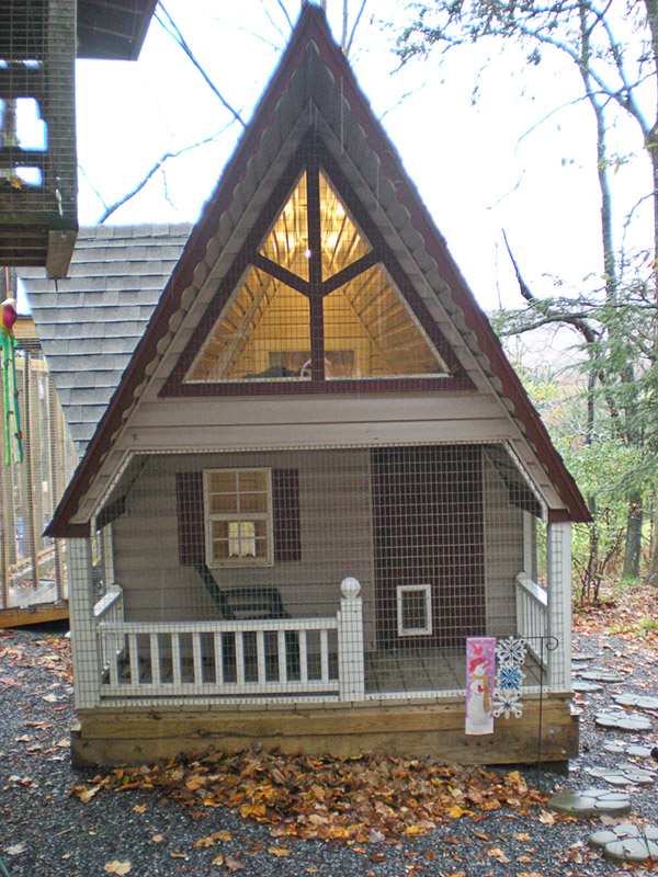 The Best Little Cat House in PA Chipmunk and Eddy