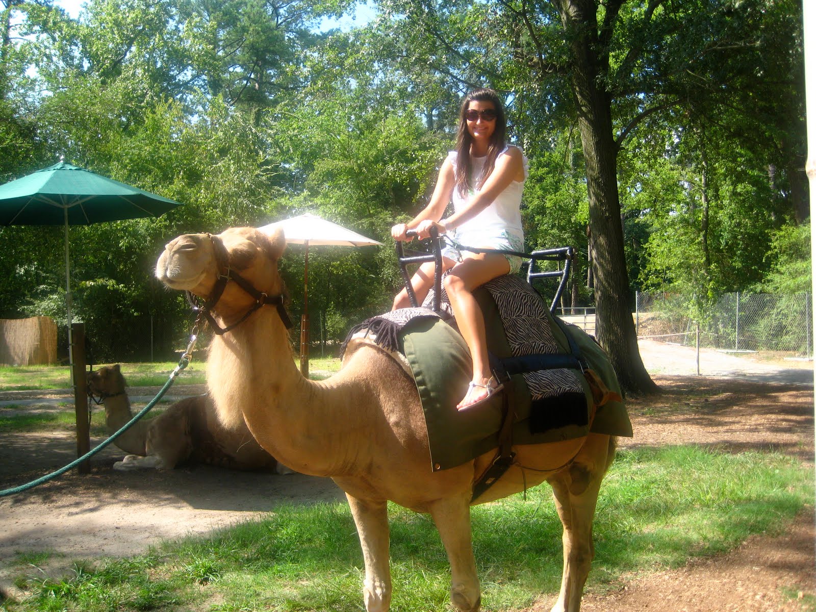The Company She Keeps: Ride, Camel, Ride!
