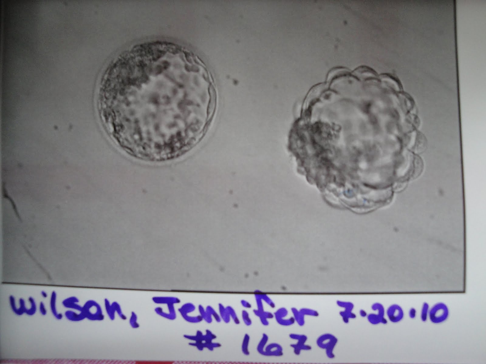 Aaron and Jennifer: Back from t...