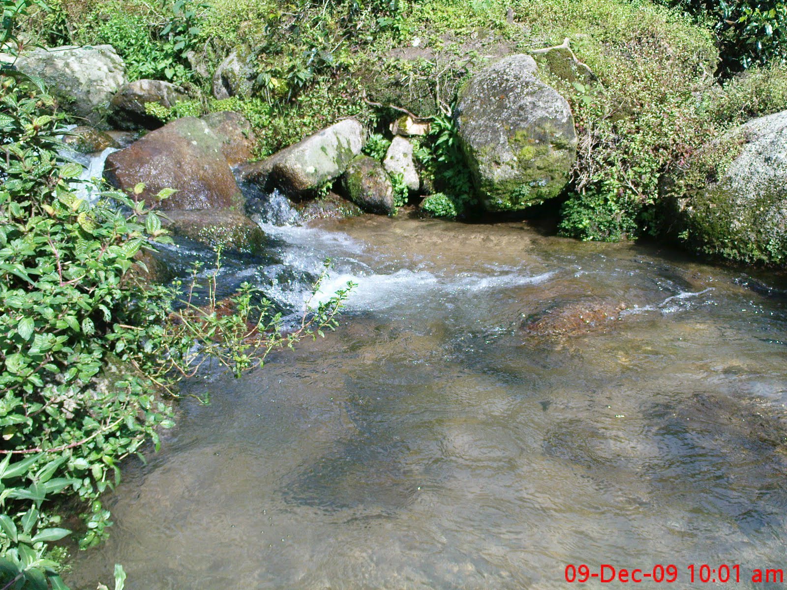 [DSC00877.JPG]