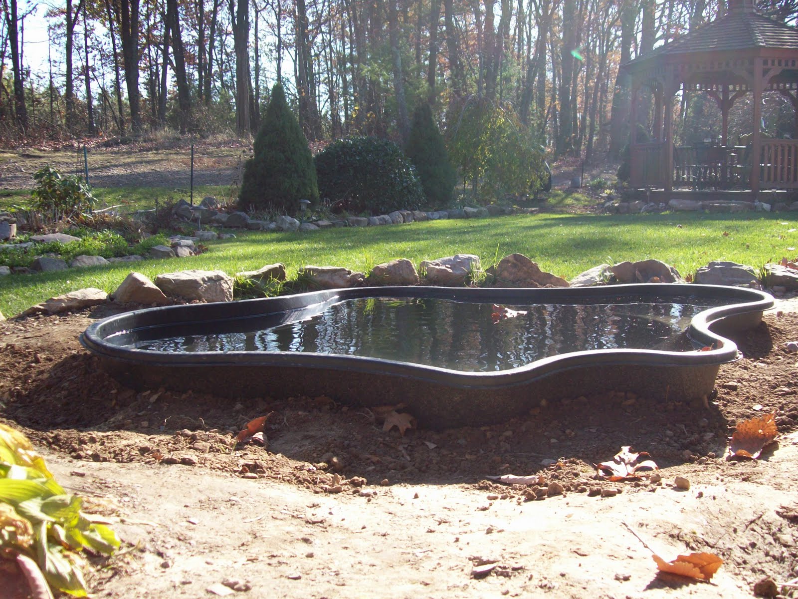 digging-koi-pond.jpg