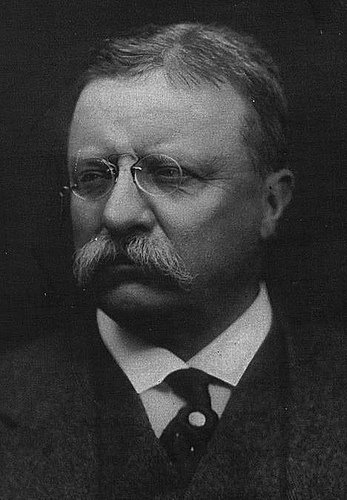 [Teddy.jpg]