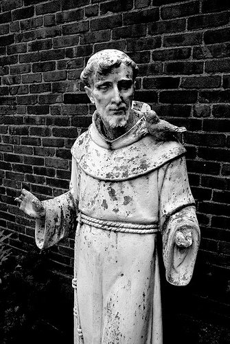 [francis.jpg]