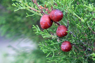[IMG_1821.jpg]