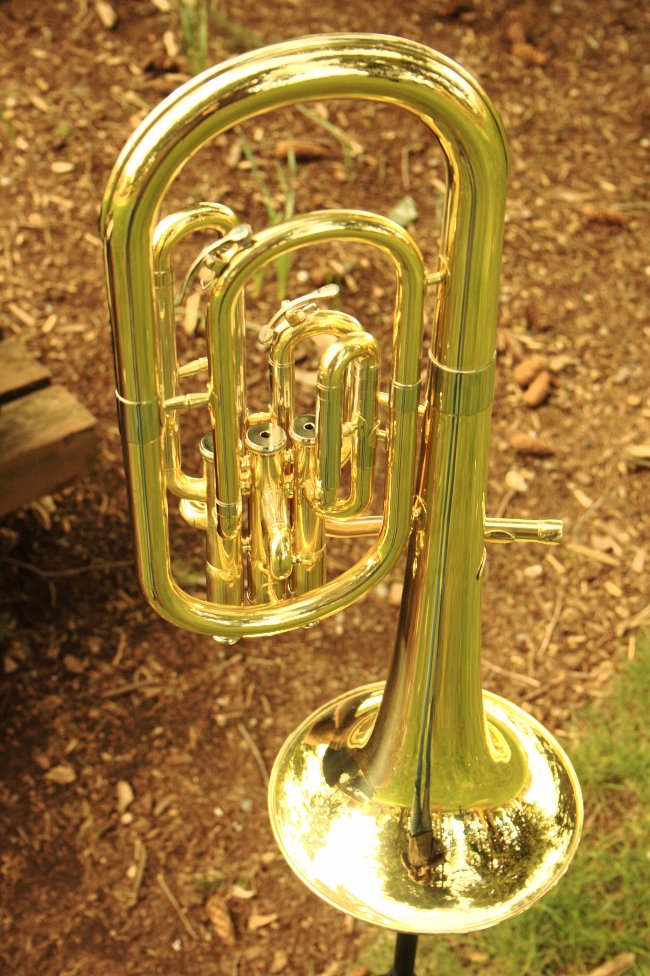 Northwest Musical Instrument Company String Bass, Altonium, Piccolo