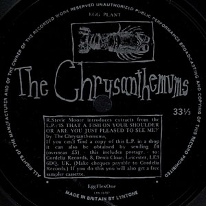 [chrysanthemus-label.jpg]