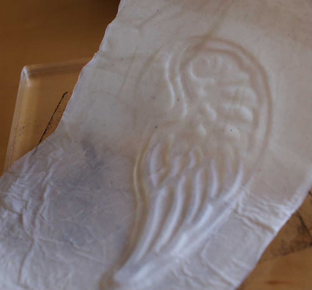 [7-enlever+papier+toilette.JPG]