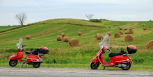 My Favorite Hay Bale!