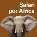 viaje áfrica expedición safari