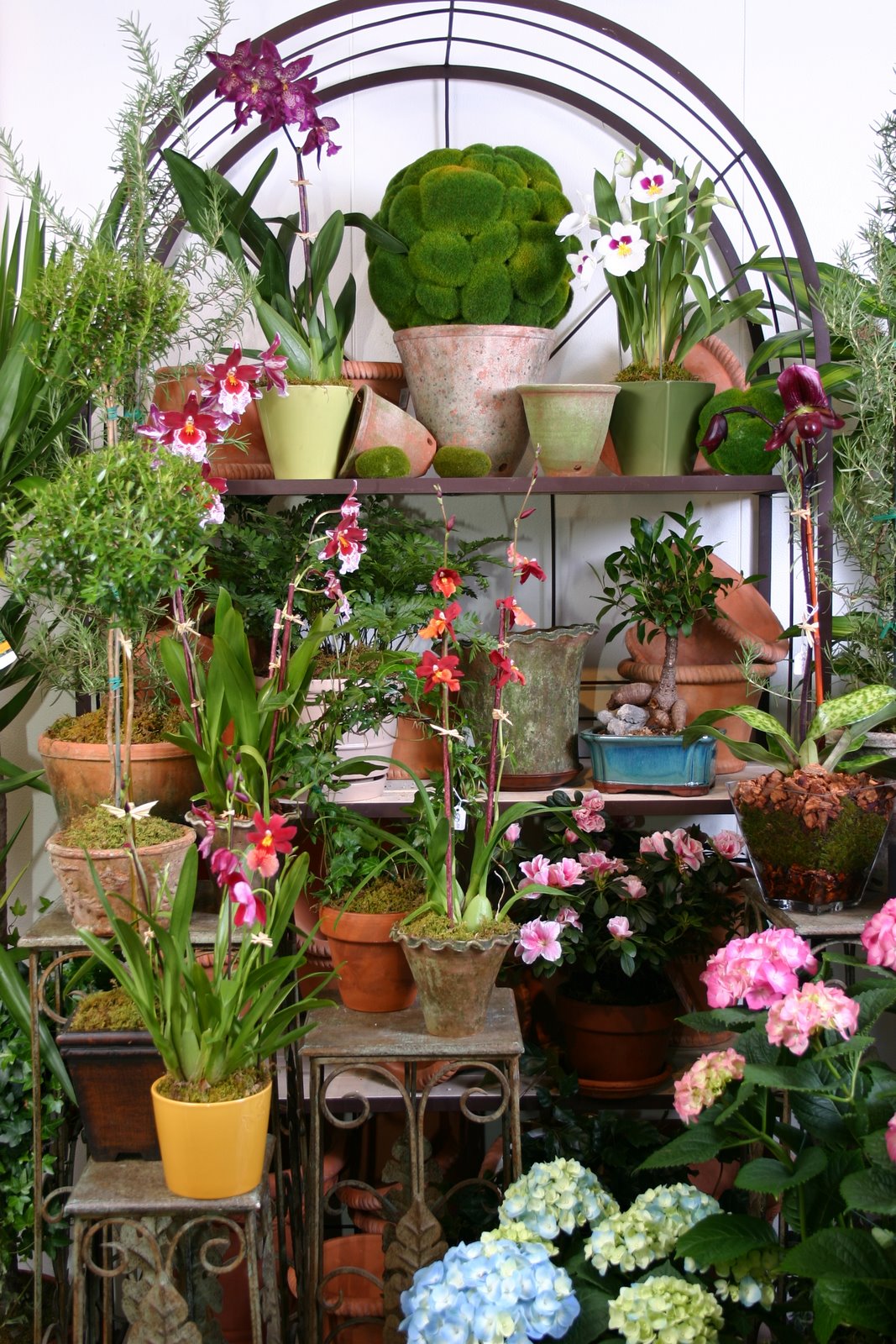 [garden+ettergere.JPG]