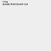 Adobe Photoshop CS4 User Guide - Tutorial eBook