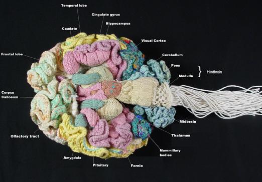 [knitted-science.jpg]