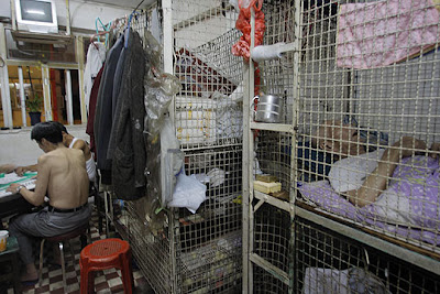 vivienda hombres jaula