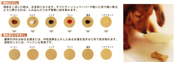 [3.jpg]
