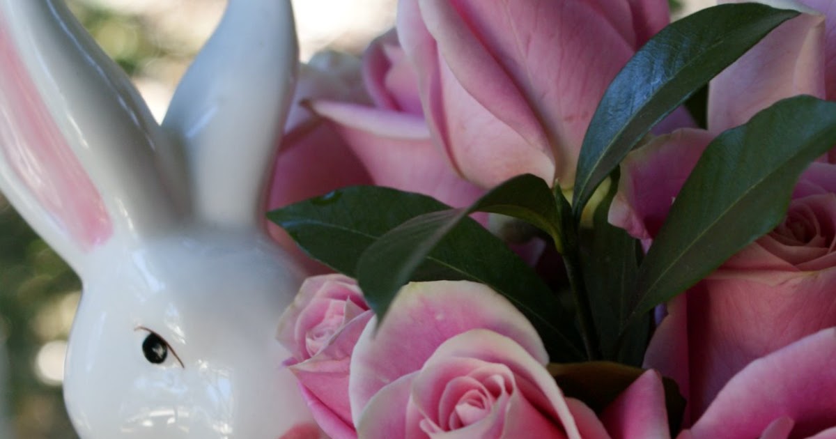 A Little Loveliness Some Bunny's Roses