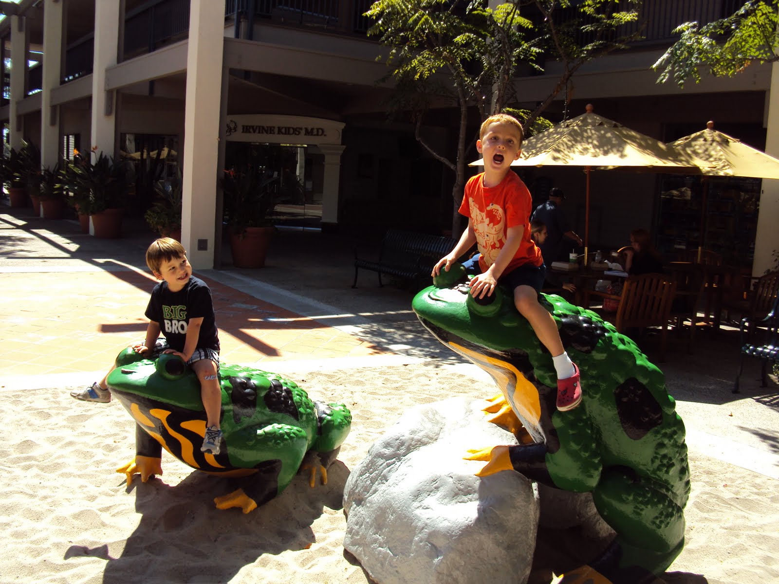 Frog Park