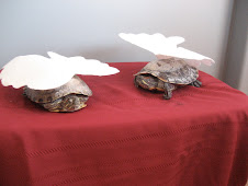 Two Turtle-Doves