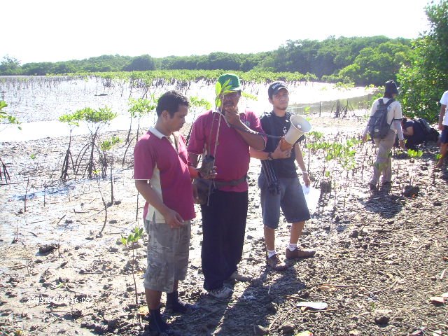 [LPIC2337.JPG]