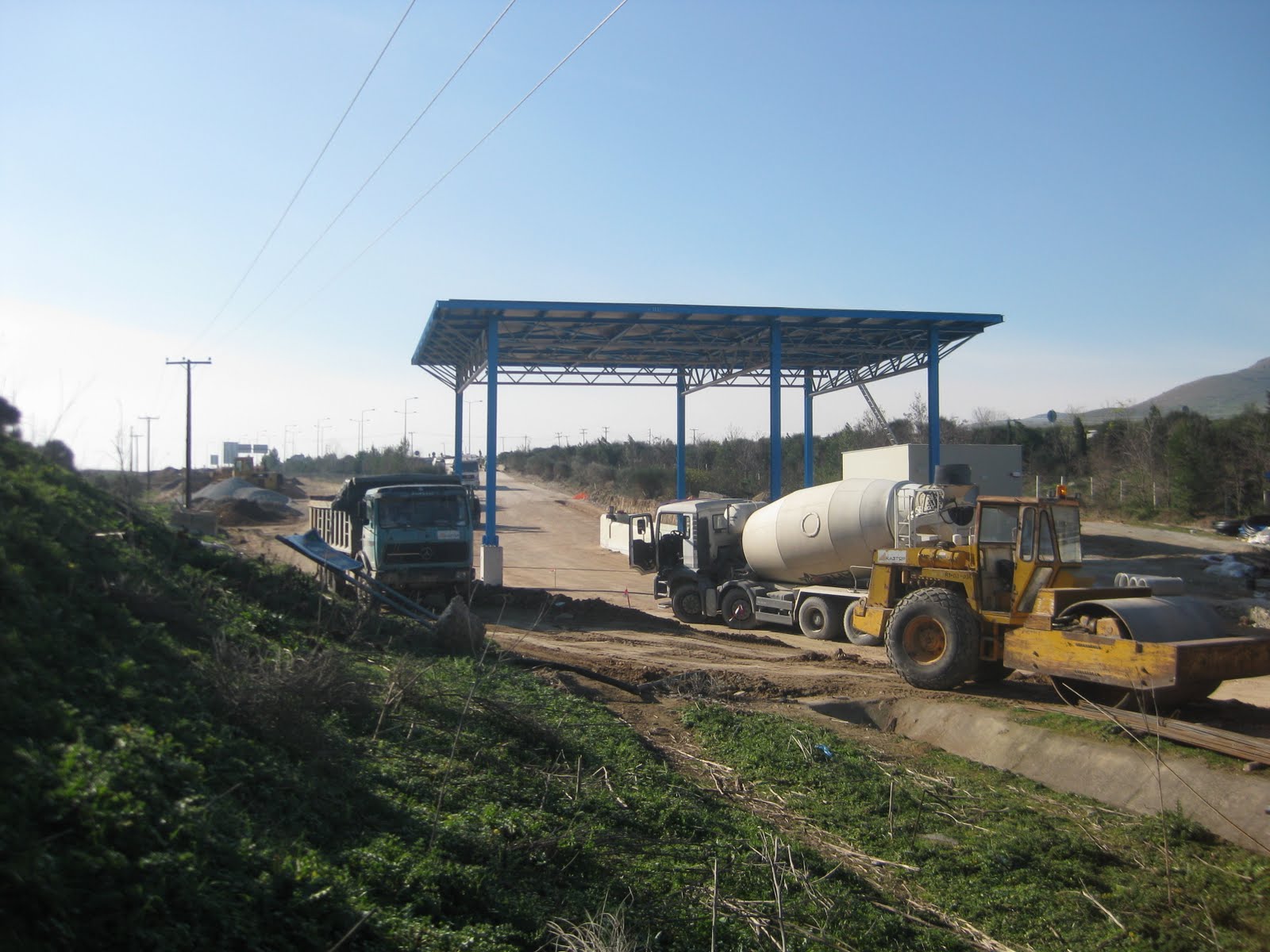 [2010.01.13+Diodia+002.jpg]