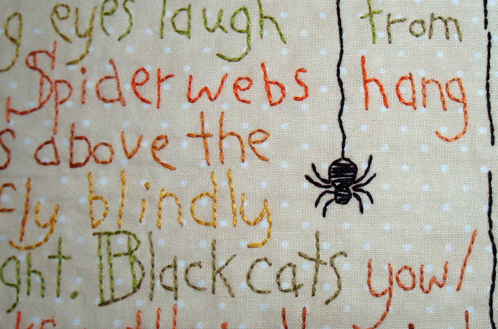 [spider.JPG]