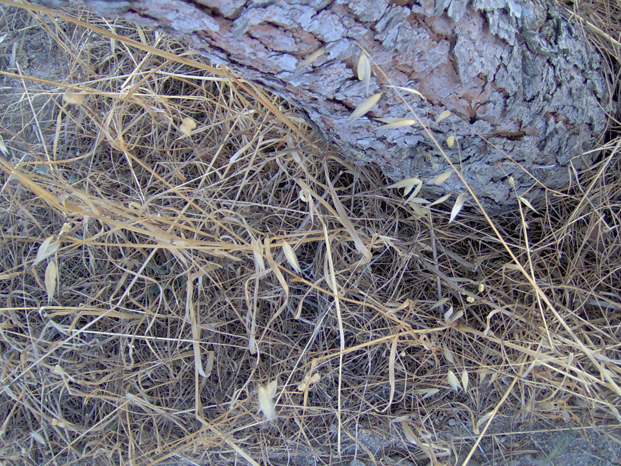 [IM000227.JPG]