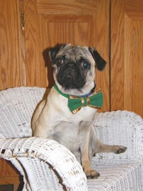 Bug the Pug