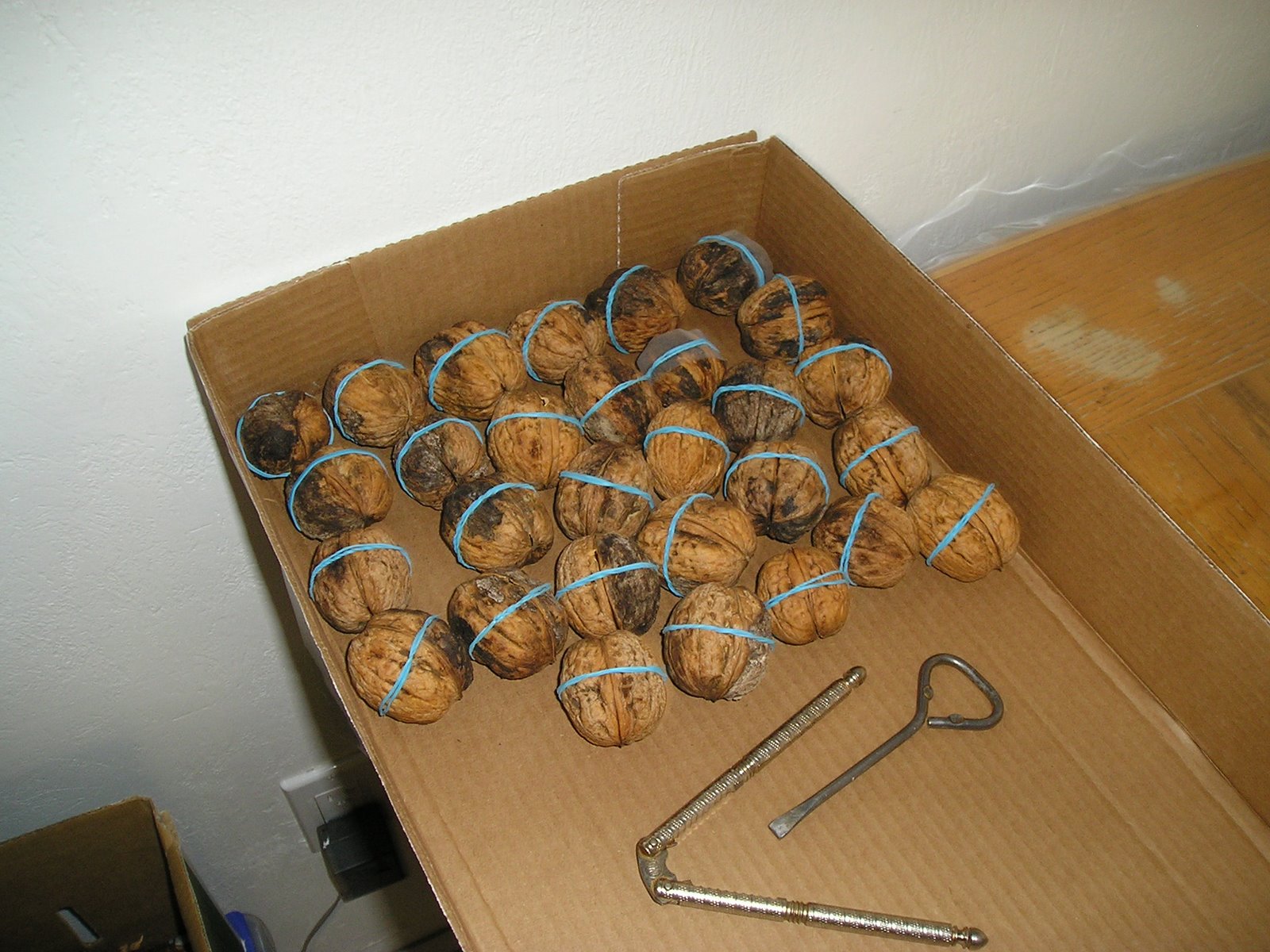 [P1010006.JPG]