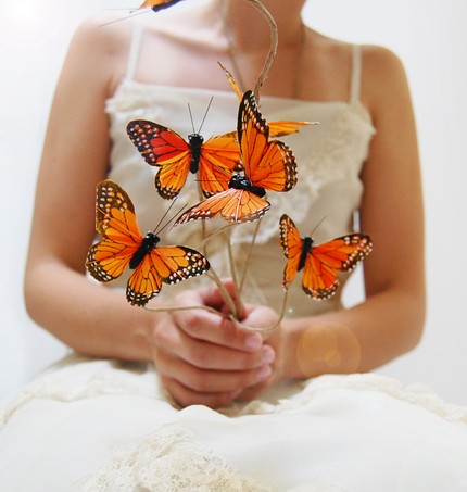  butterflies instead of floral bouquets for a wedding