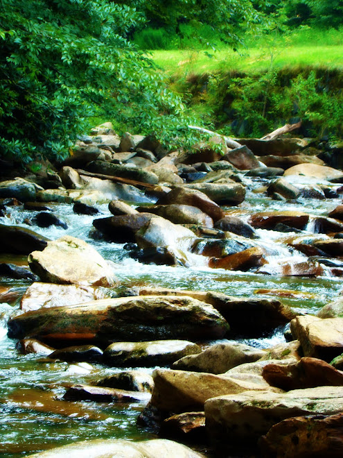 The streams