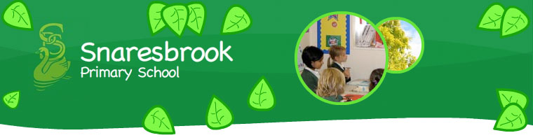 Wells primary school image