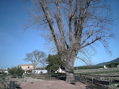 Beneixama