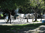 One of the carriges for city tours