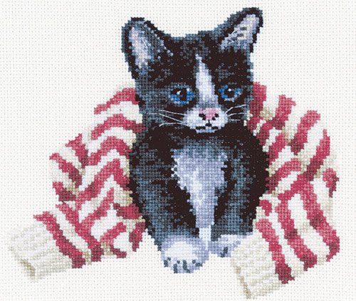 [cat.jpg]