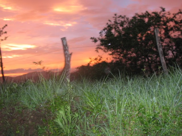 [IMG_2659.JPG]