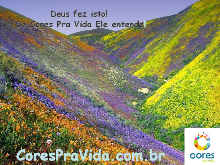 Onda do Bem!