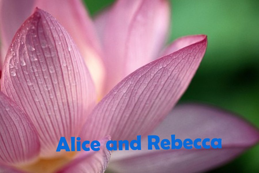 Alice&Rebeccas