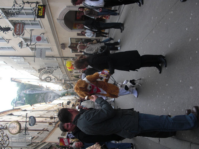 totally normal day in salzburg