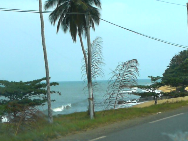 [P1000175.JPG]